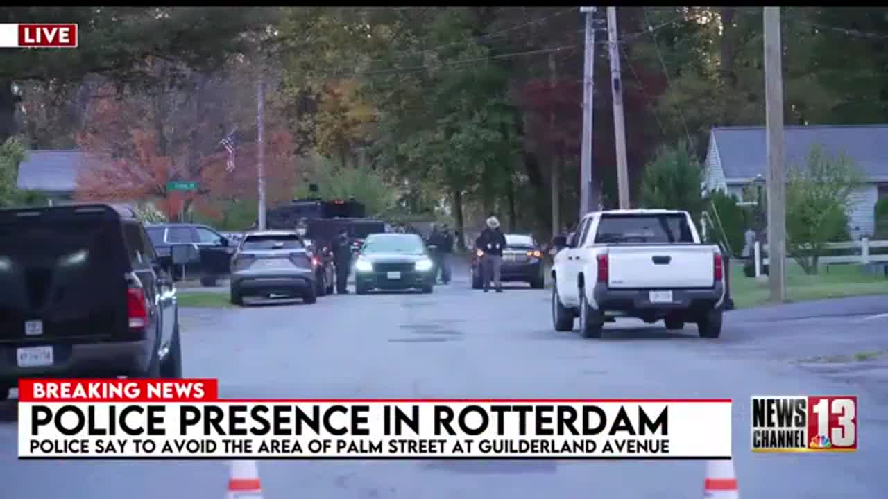Large police presence on Palm Street in Rotterdam — Troy Business news